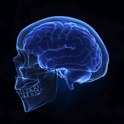 Brain and Spinal Cord Injuries